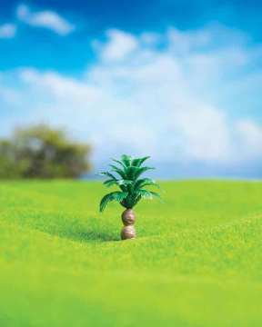 Eshel Maket Salon Palmiyesi 3,5cm 3lü