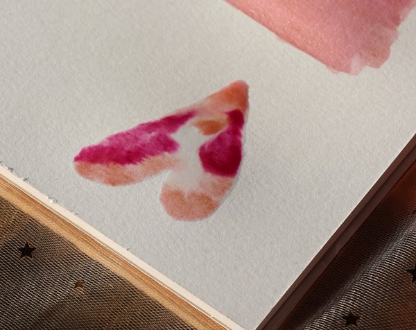 Ecoline Renk Uygulaması