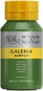 Winsor Newton Galeria Akrilik Boya 500ml 599 Sap Green