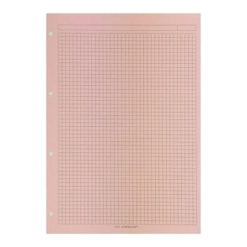 Alex Schoeller Kolej Yedek Renkli A4 Kareli 50yp ALX 872 Pembe