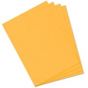 Mi-Teintes 160gr 50x65cm 400 Canary 3lü
