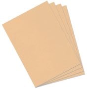 Mi-Teintes 160gr 50x65cm 470 Champagne 3lü