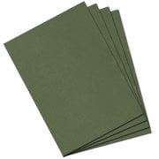 Mi-Teintes 160gr 50x65cm 448 Ivy 3lü
