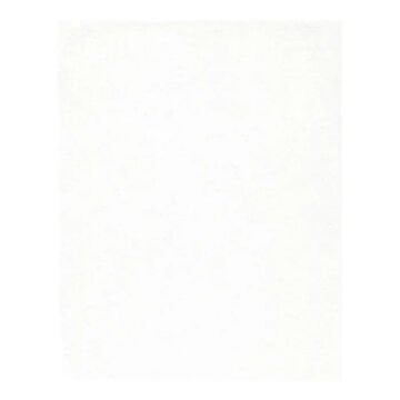 Pan Pastel 100.5 Titanium White