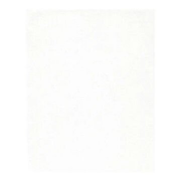 Pan Pastel 100.5 Titanium White