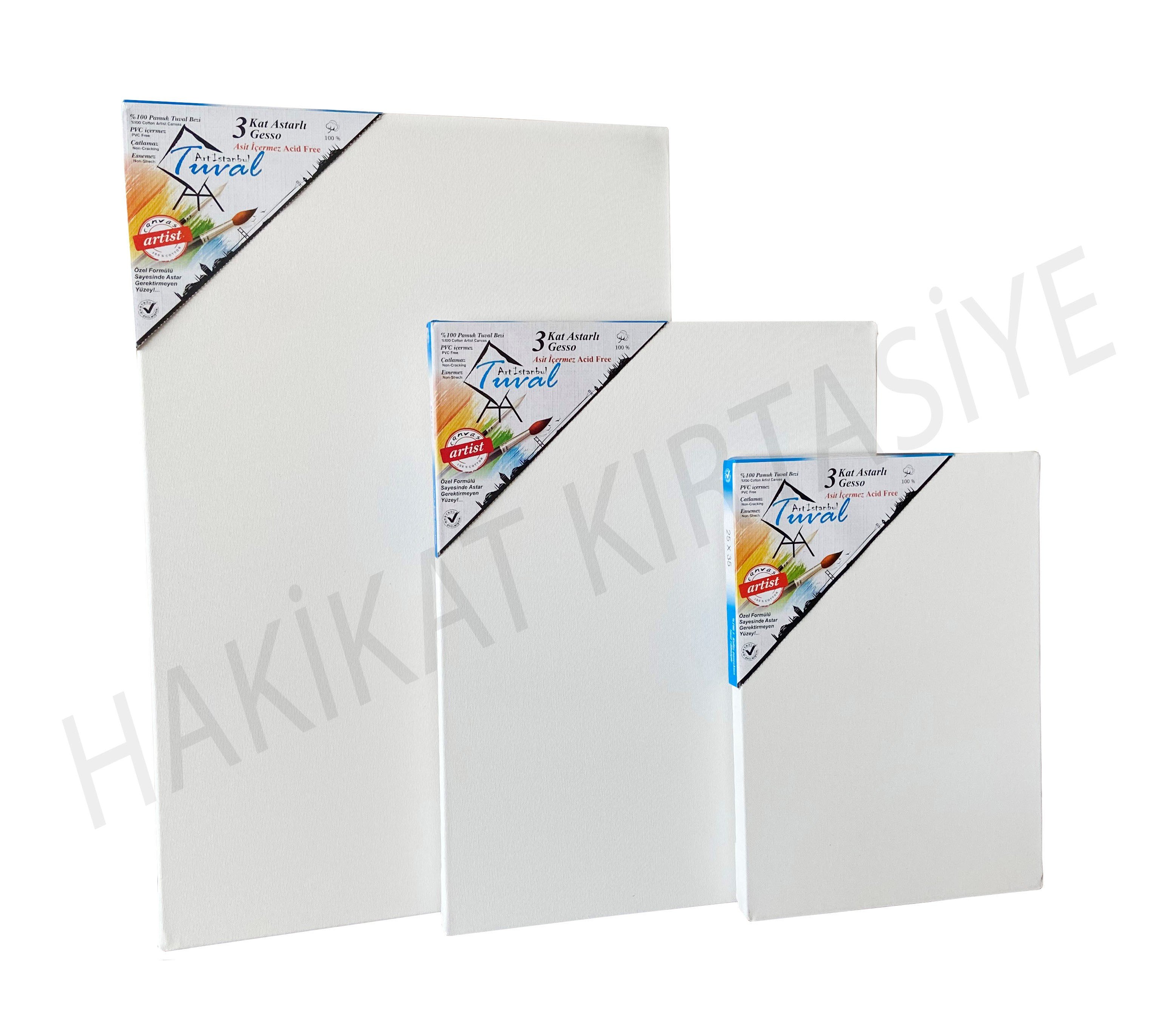 Art İstanbul Profesyonel Tuval 50x50 Standart Şasi