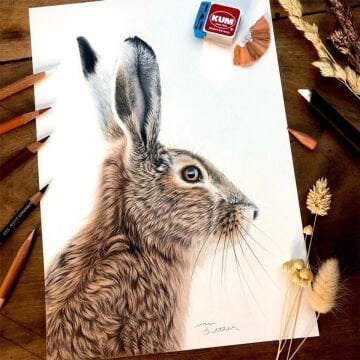 Kum Meisterwerk Çift Gözlü Kalemtraş Kılıflı