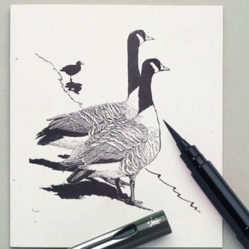 Pentel Brush Pen Fırça Uçlu Kalem Yedeği 4lü Siyah