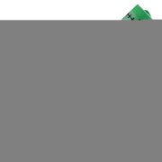 Rembrandt Soft Pastel Boya Tekli Yedek Renk 627-9 Cinnabar Green Deep