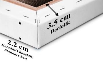 Art İstanbul Profesyonel Tuval 70x80 Standart Şasi