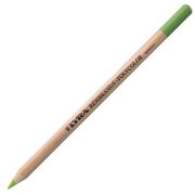 Lyra Rembrandt Polycolor Kuru Boya Kalemi 68 Moss Green