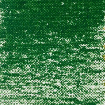 Van Gogh Oil Yağlı Pastel 623.5 Sap Green