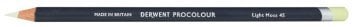 Derwent Procolour Kuru Boya Kalemi 45 Light Moss
