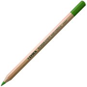 Lyra Rembrandt Aquarell Suluboya Kalemi 073 Olive Green