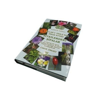 Allah-u Teâlâ'nın İhsan Ettiği Bitkilerdeki Şifalar