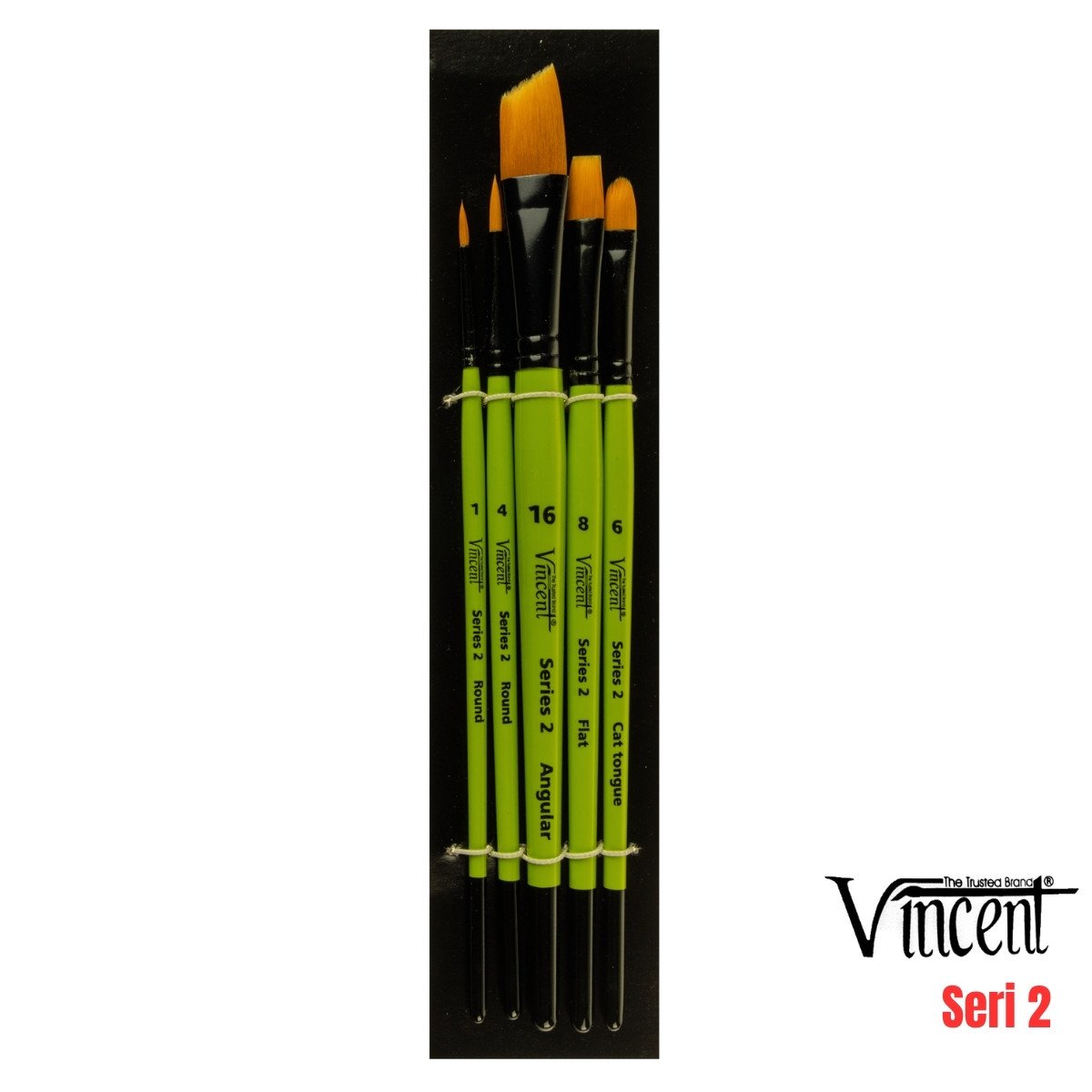 Vincent Fırça Seti 5li S2