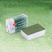 White Nights Sulu Boya 704 Chromium Oxide