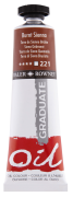 Daler Rowney Graduate Yağlı Boya 38ml 221 Burnt Sienna