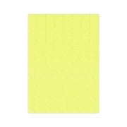 Bigpoint Keçe 50x70cm 2mm Sarı 10'lu Paket
