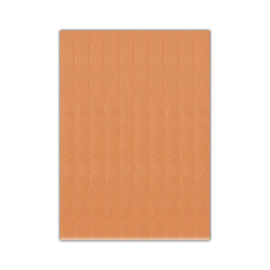Bigpoint Keçe 50x70cm 2mm Ten Rengi 10'lu Paket