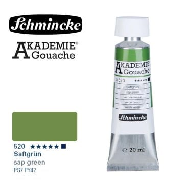 Schmincke Akademie Guaj Boya 20ml 520 Sap Green