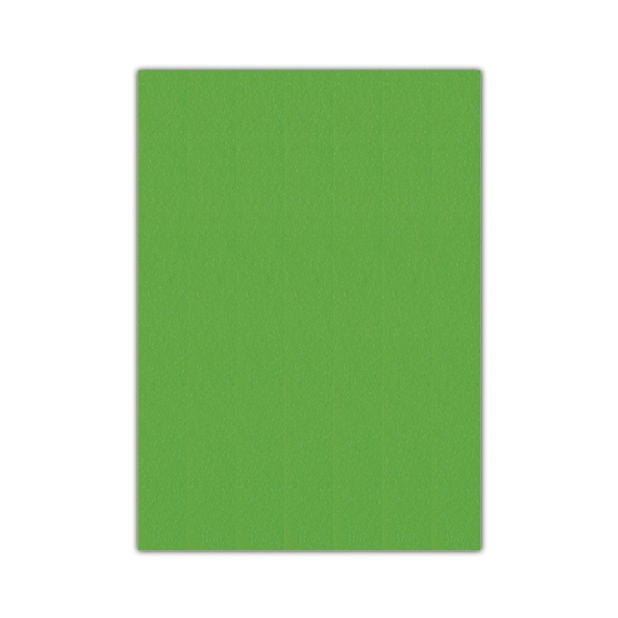 Bigpoint Keçe 50x70cm 2mm Yeşil 10'lu Paket