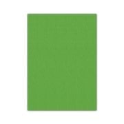 Bigpoint Keçe 50x70cm 2mm Yeşil 10'lu Paket