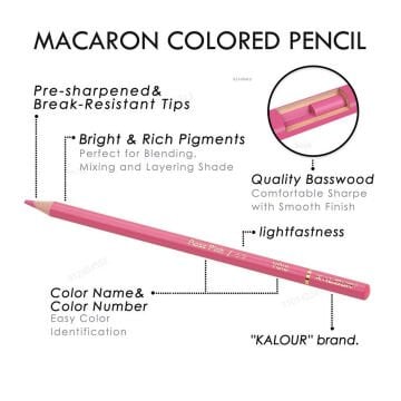 Kalour Kuru Boya Macaron Kalem Seti Metal Kutu 50li