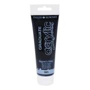 Daler Rowney Graduate Akrilik Boya 120ml 065 Paynes Grey