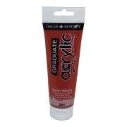 Daler Rowney Graduate Akrilik Boya 120ml 201 Burnt Sienna