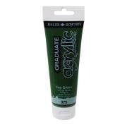 Daler Rowney Graduate Akrilik Boya 120ml 375 Sap Green