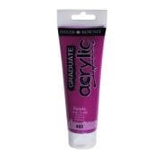 Daler Rowney Graduate Akrilik Boya 120ml 433 Purple