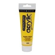 Daler Rowney Graduate Akrilik Boya 120ml 634 Naples Yellow