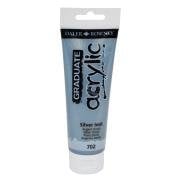 Daler Rowney Graduate Akrilik Boya 120ml 702 Silver Imit