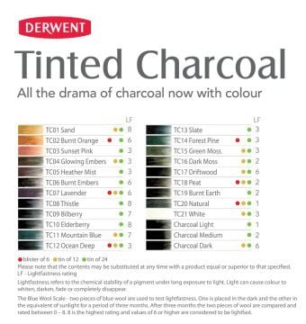 Derwent Tinted Charcoal Mürekkep Bazlı Kömür Kalem Seti Metal Kutu 24 Renk