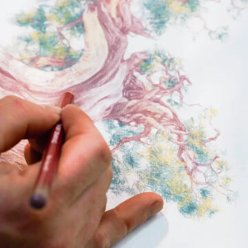 Derwent Drawing Kuru Boya Kalemi 0800 Strawberry