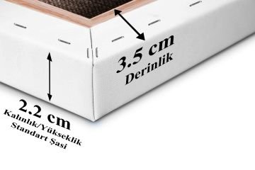 Art İstanbul Profesyonel Tuval 60x180 Standart Şasi