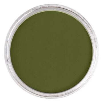 Pan Pastel 220.1 Hansa Yellow Extra Dark