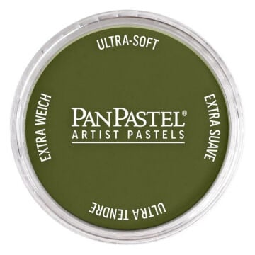 Pan Pastel 220.1 Hansa Yellow Extra Dark