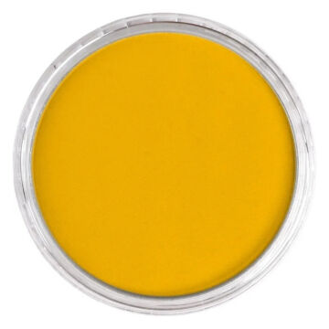 Pan Pastel 250.5 Diarylide Yellow