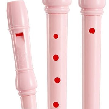 Helvacıoğlu Blokflüt Kutulu