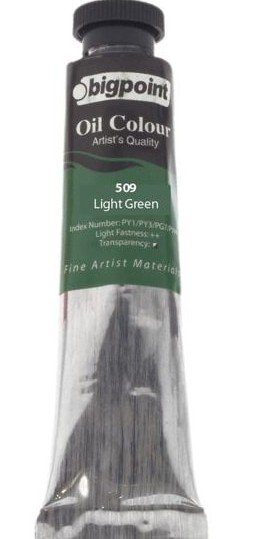 Bigpoint Yağlı Boya 200ml 509 Light Green