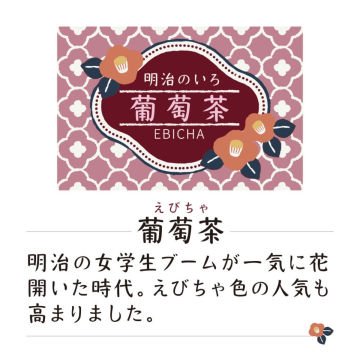 Zig Kuretake MEIJI NO IRO Mürekkebi 20gr Ebicha