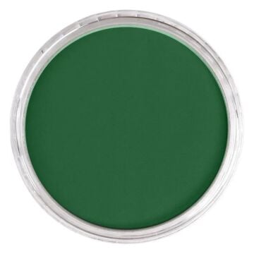 Pan Pastel 640.1 Permanent Green Extra Dark