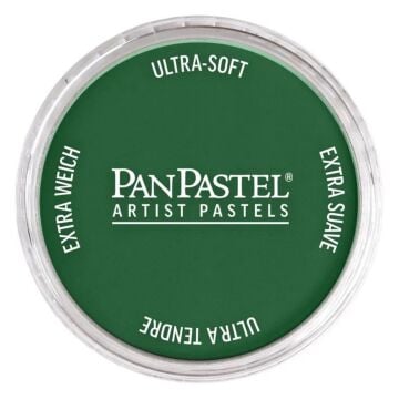 Pan Pastel 640.1 Permanent Green Extra Dark
