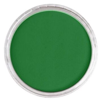 Pan Pastel 640.3 Permanent Green Shade