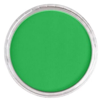 Pan Pastel 640.5 Permanent Green