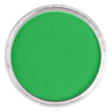 Pan Pastel 640.5 Permanent Green