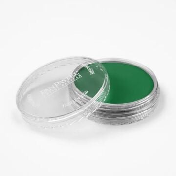 Pan Pastel 640.5 Permanent Green