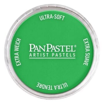 Pan Pastel 640.5 Permanent Green